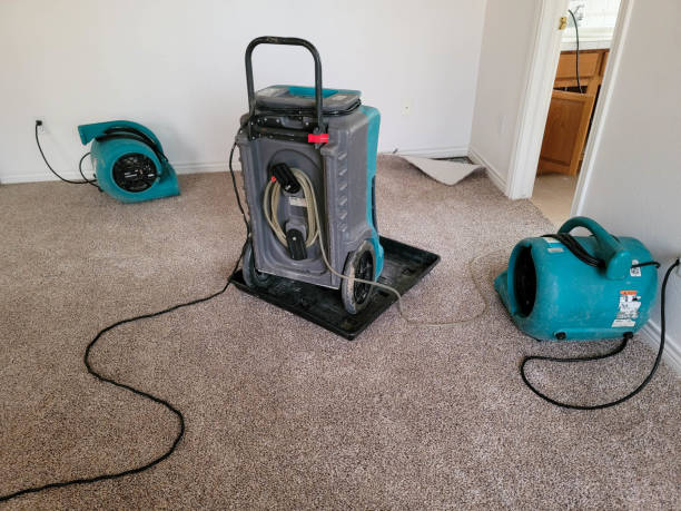 Best Fire Damage Restoration  in Allyn, WA
