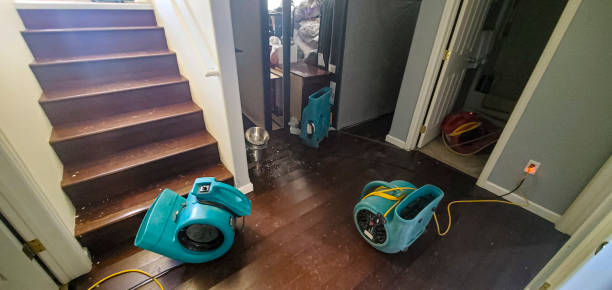 Best Mold removal after water damage  in Allyn, WA