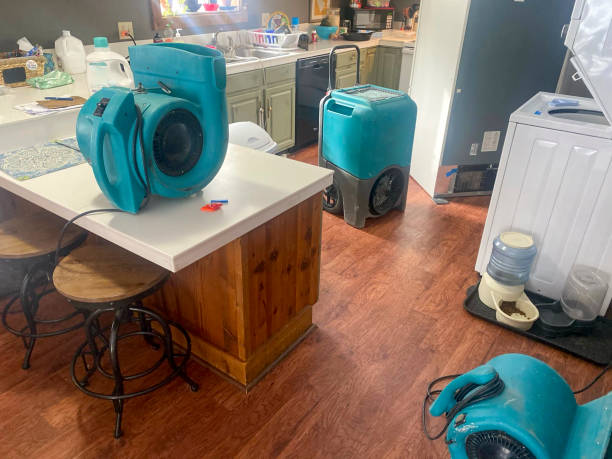Best Water damage restoration experts  in Allyn, WA