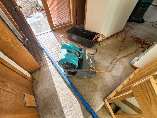Best Mold removal after water damage  in Allyn, WA