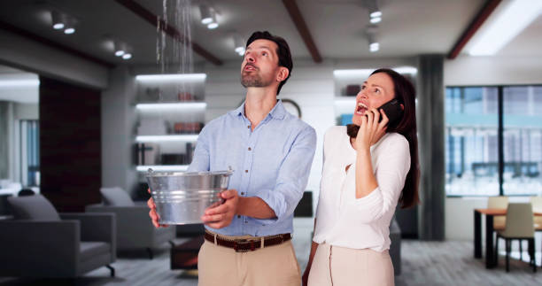 Best Basement water damage restoration  in Allyn, WA